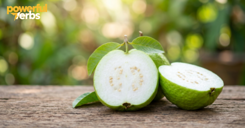 Thai White Guava (Psidium guajava)