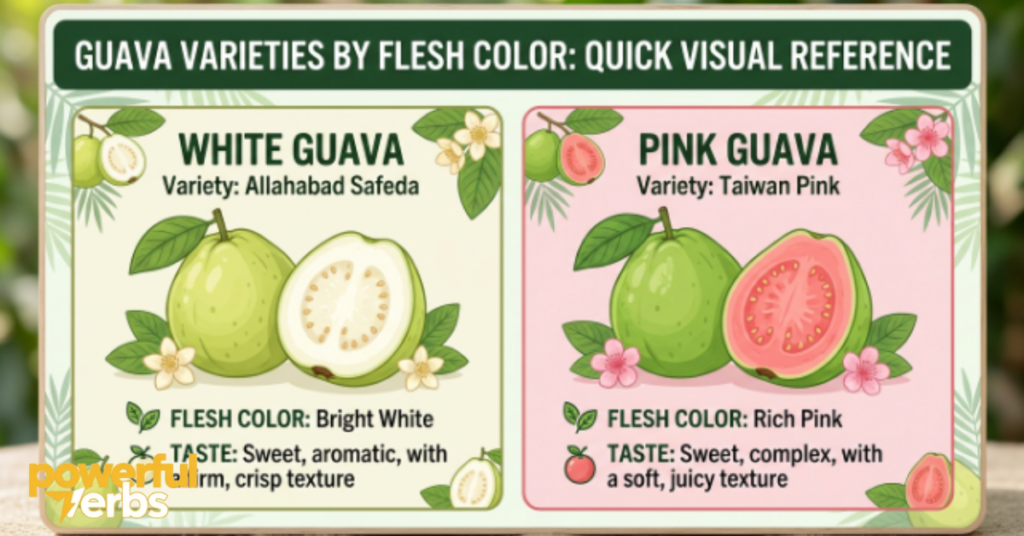 Guava Varieties by Flesh Color: Quick Visual Reference
