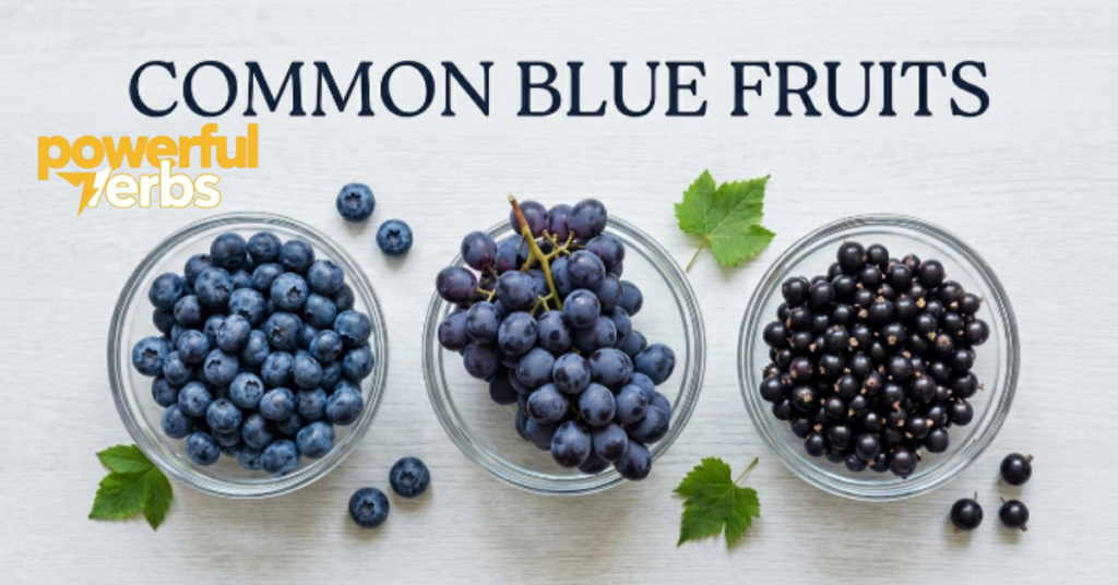 Common Blue Fruits