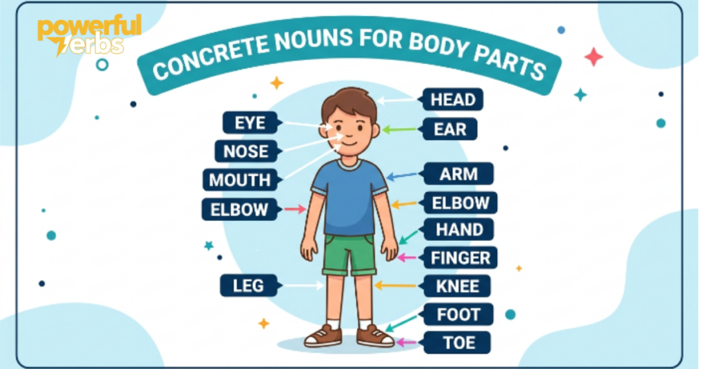 Concrete Nouns for Body Parts