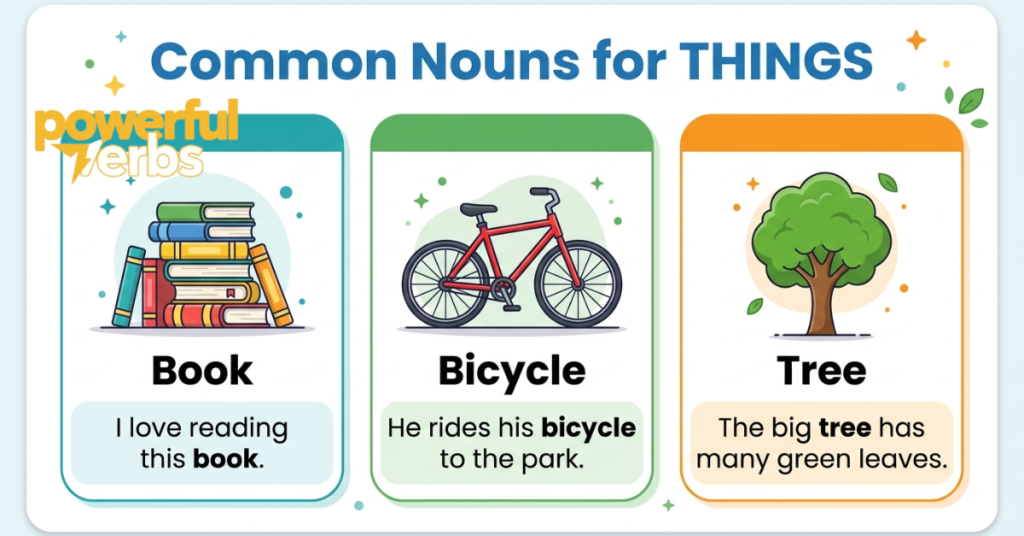 Common Nouns for Things (with Sentences)