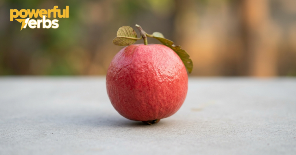 Red Guava