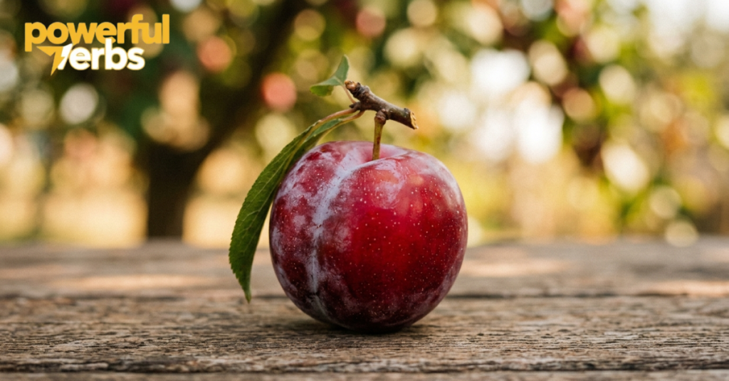Red Plum