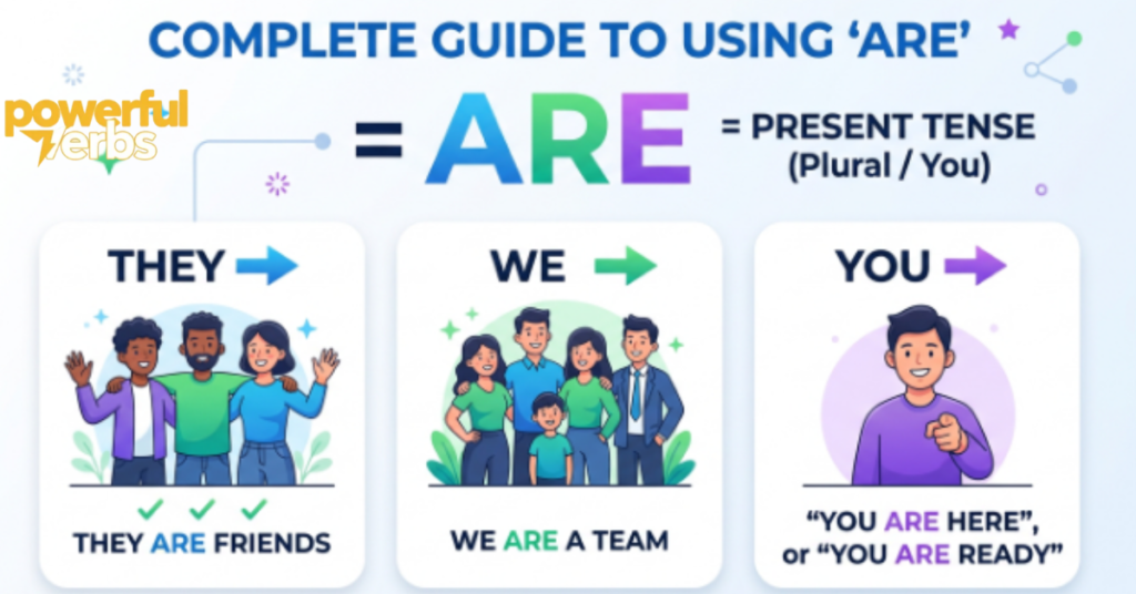 Complete Guide to Using "ARE"
