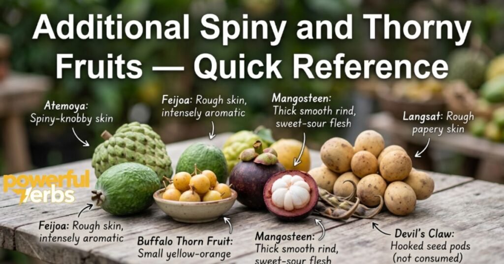 Nutritional Benefits of Spiky Fruits at a Glance