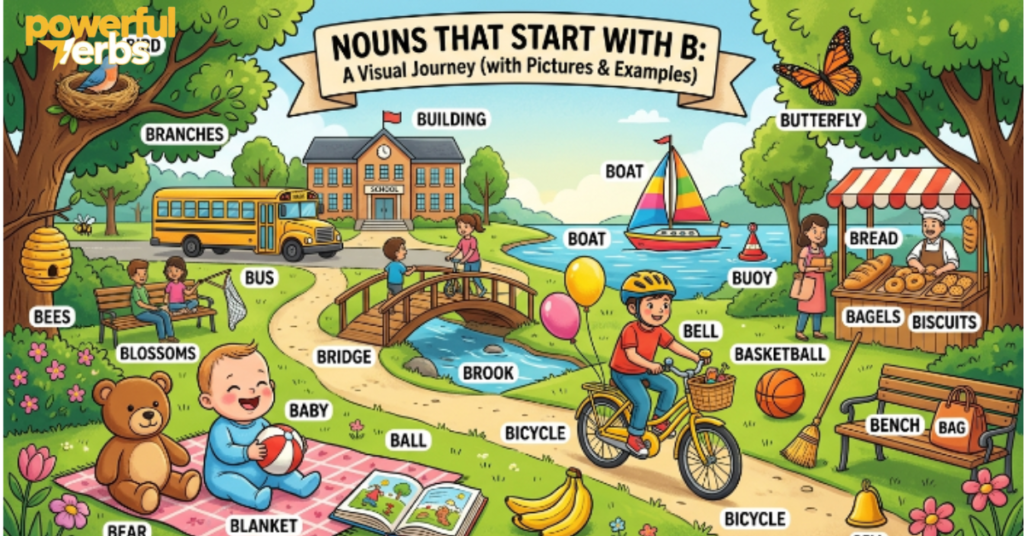 Nouns That Start with B: 1000+ Words with Pictures & Examples