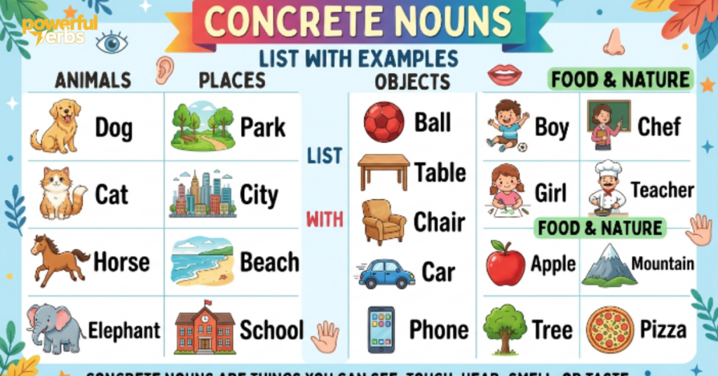 Concrete Nouns List with Examples
