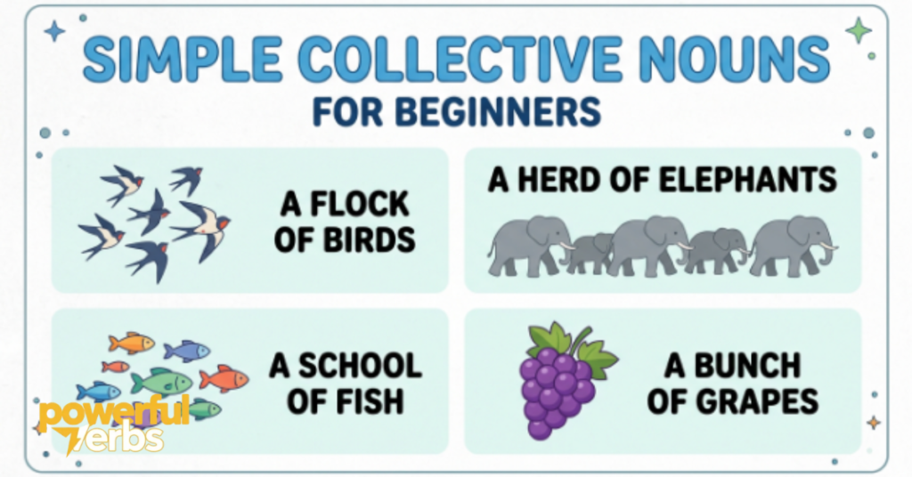 30 Short and Simple Collective Noun Sentences for Beginners