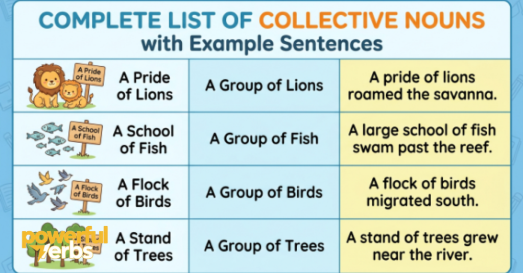 Complete List of Collective Nouns with Example Sentences