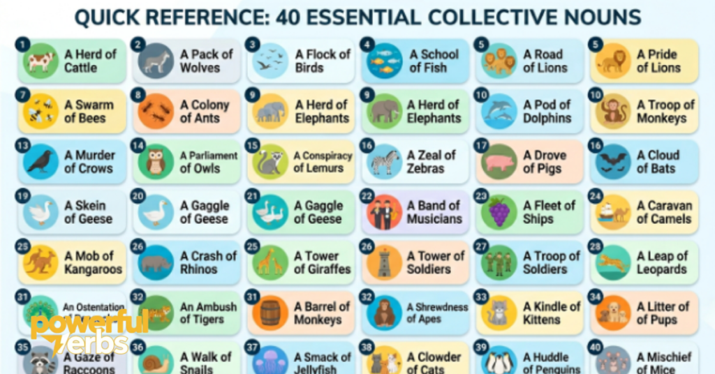 Quick Reference: 40 Most Important Collective Nouns at a Glance
